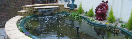 Ponds & Water Features